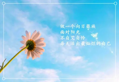 输入手机号可轻松转账